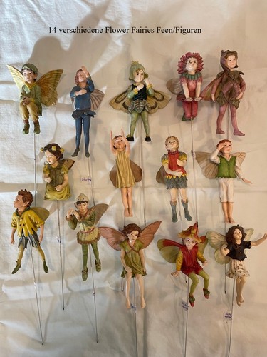 Flower fairies blumenfeen - 14,