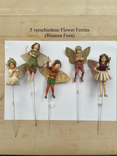 Flower fairies 5 - flower,