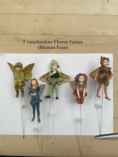 Flower fairies 5 - flower,