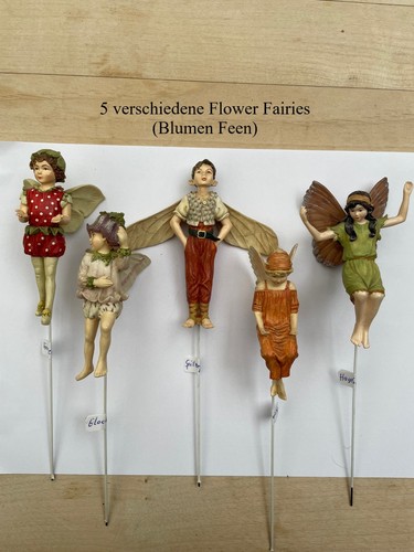 Flower fairies 5 - fairies,