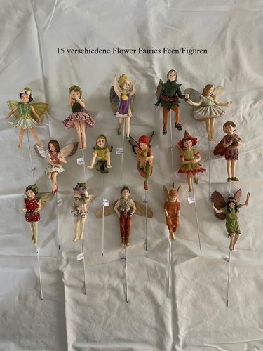 Flower fairies blumenfeen - 15,