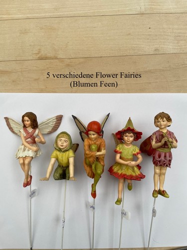 Flower fairies 5 - flower,