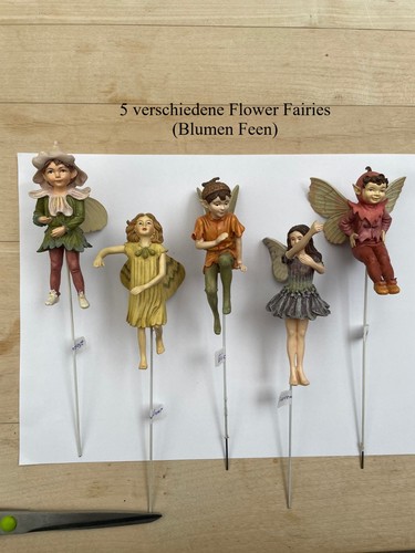 Flower fairies 5 - fairies,