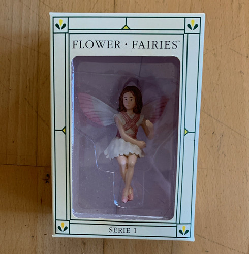 Flower fairies serie - serie, 1