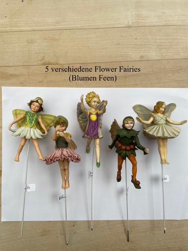 Flower fairies 5 - flower,